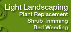 Learn about Landscaping